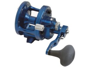 Avet JX Series