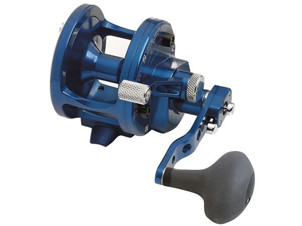 Avet JX Series