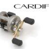 CARDIFF