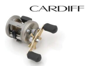 CARDIFF