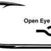 Owner Open Eye Stinger Siwash Hooks