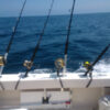 Rod-On Safety Strap
