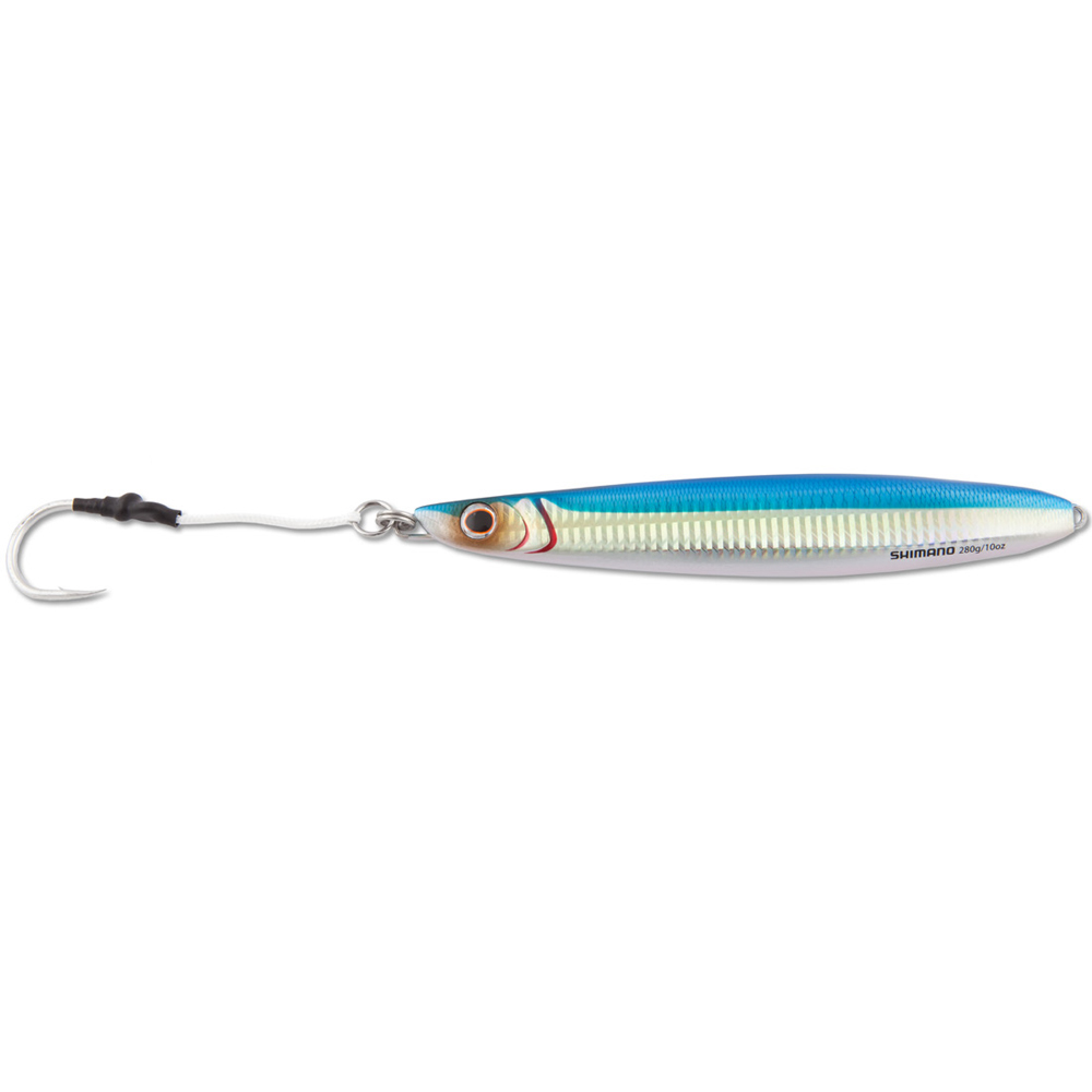 Flat Side Blue Sardine