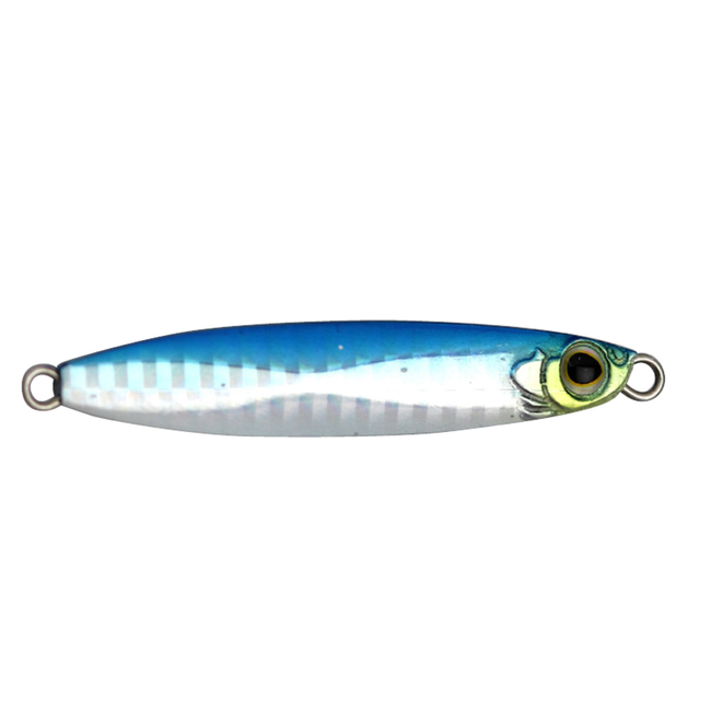 blue sardine