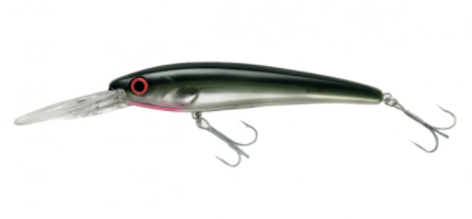 Goggle Eye Bomber