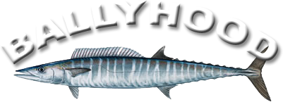 Ballyhood Wahoo Express 14 oz