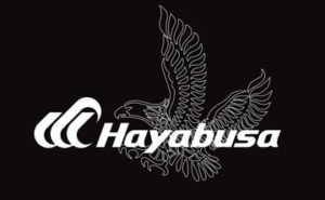 Hayabusa Sabiki Rigs