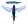 Nomad  Slipstream 200 -280 Flying Fish