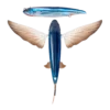 Nomad  Slipstream 200 -280 Flying Fish