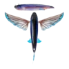 Nomad  Slipstream 200 -280 Flying Fish