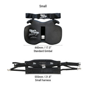 Black Magic Equalizer Belt And Harness Set
