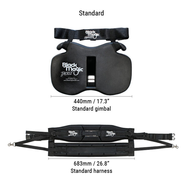 Black Magic Equalizer Belt And Harness Set