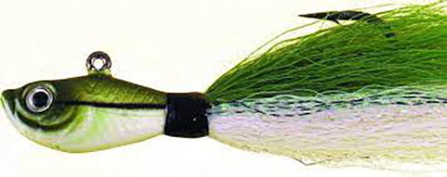 Sand EEl