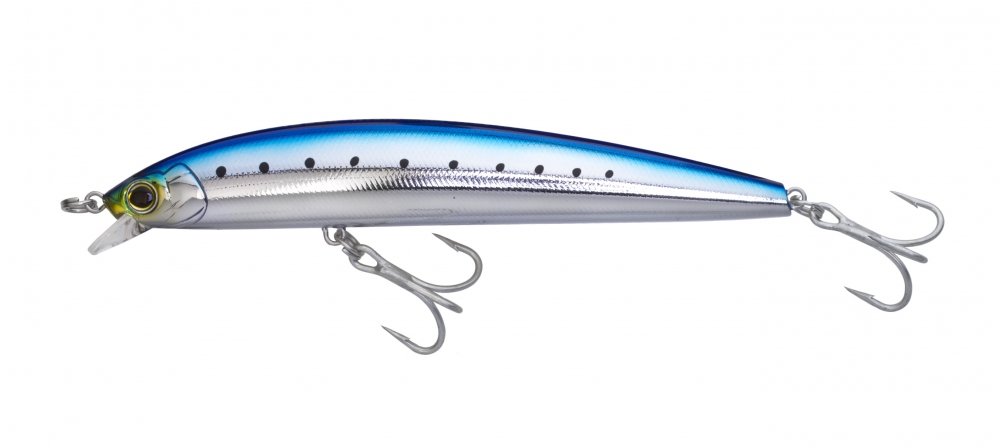 Sardine JPG