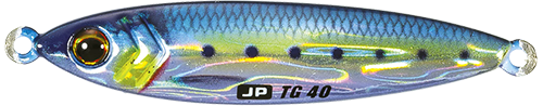 JP-TG40_kin-iwashi_1024x1024@2x