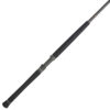 Penn Carnage III Conventional West Coast Rods