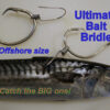 Ultimate Bait Bridle